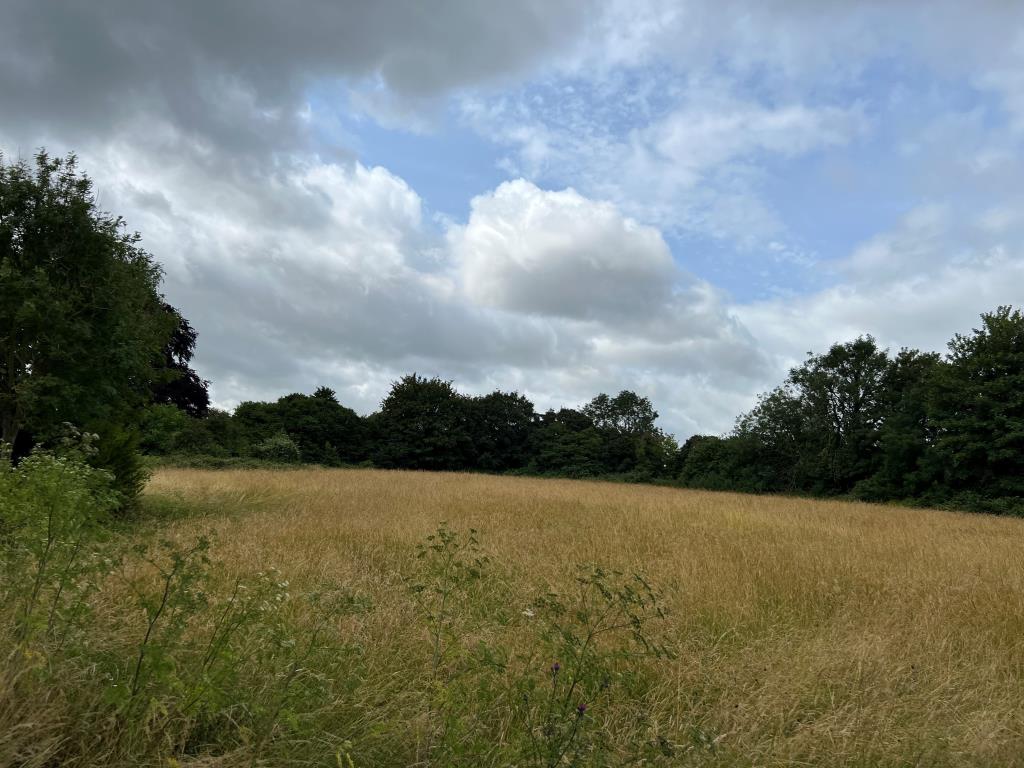 Lot: 39 - FREEHOLD PUBLIC HOUSE ON A TWO ACRE PLOT WITH CONSENT FOR 17 RESIDENTIAL DWELLINGS - View of the plot with consent for development